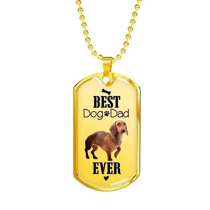 Dad Dog Tag Custom Picture Father’S Day, Best Dog Dad Ever Dog Tag Necklace Gift For Dad Father's Day Rakva