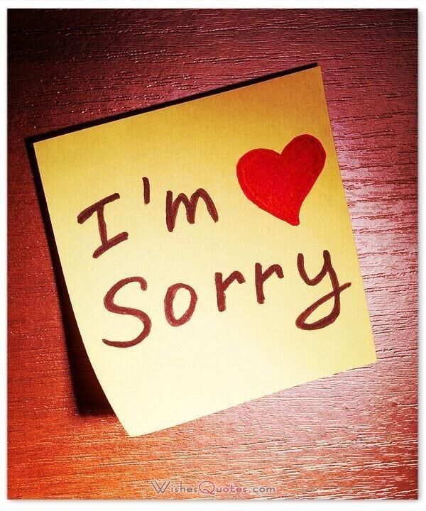 To Say Sorry ( Apology )