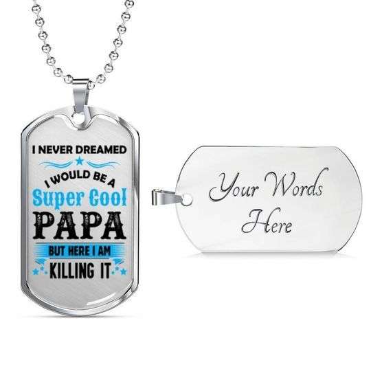 Dad Dog Tag Custom Picture Father’S Day, I Would Be A Super Cool Papa Dog Tag Necklace For Dad Father's Day Rakva