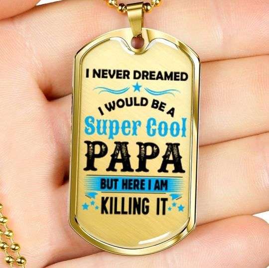 Dad Dog Tag Custom Picture Father’S Day, I Would Be A Super Cool Papa Dog Tag Necklace For Dad Father's Day Rakva