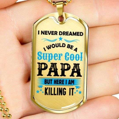 Dad Dog Tag Custom Picture Father’S Day, I Would Be A Super Cool Papa Dog Tag Necklace For Dad Father's Day Rakva