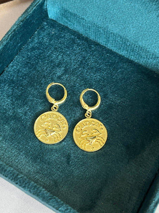 925 Sterling Silver Earrings – Intuitive Zodiac Jewelry | Rakva