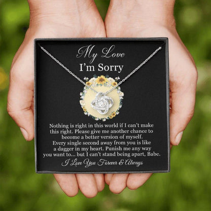 Girlfriend Necklace, Apology Necklace Gift For Girlfriend, I'm Sorry Gift For Her, Sorry Gift, Gift For Apology, Sorry Gift For Girlfriend, Gift For Apology.