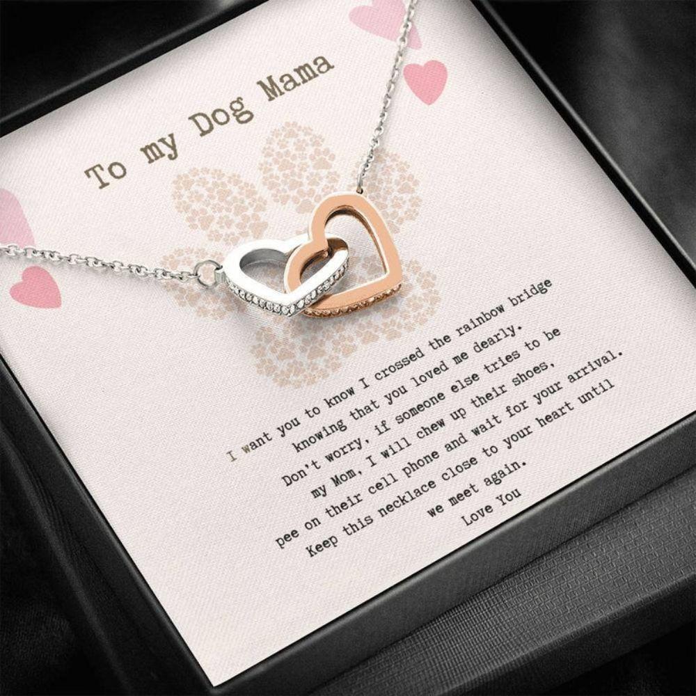 To My Dog Mama Gift, Until We Meet Again Necklace “ Loss Of Dog Memorial Gift Necklace